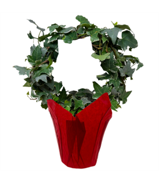 Ivy Ring Hoop 6"