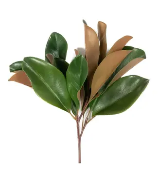 Magnolia Leaf Spray 16in