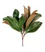 Magnolia Leaf Spray 16in
