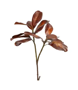 Magnolia Leaf Spray Bourbon 26 Inch