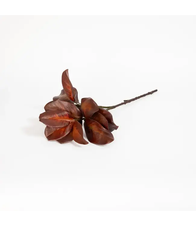 Magnolia Leaf Spray Bourbon 26 Inch