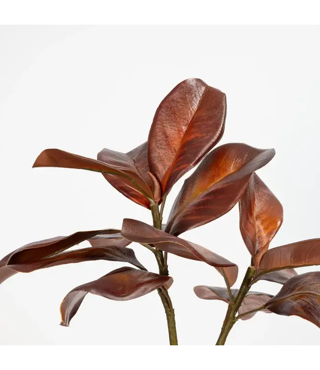 Magnolia Leaf Spray Bourbon 26 Inch