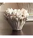 COURTNEY VASE SHORT