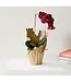 Arbre Vase Small