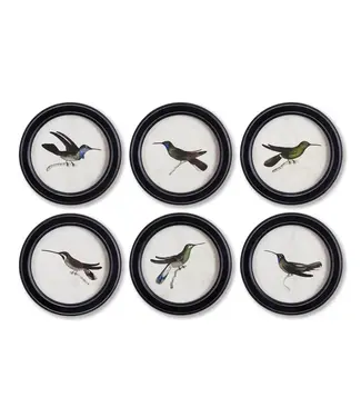 Hummingbird Round Petite Prints, Set of 6
