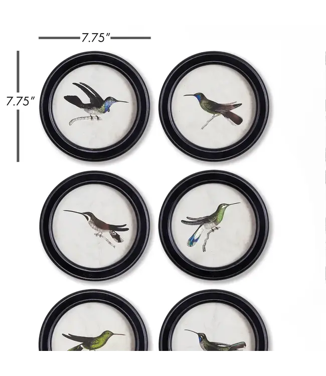 Hummingbird Round Petite Prints, Set of 6