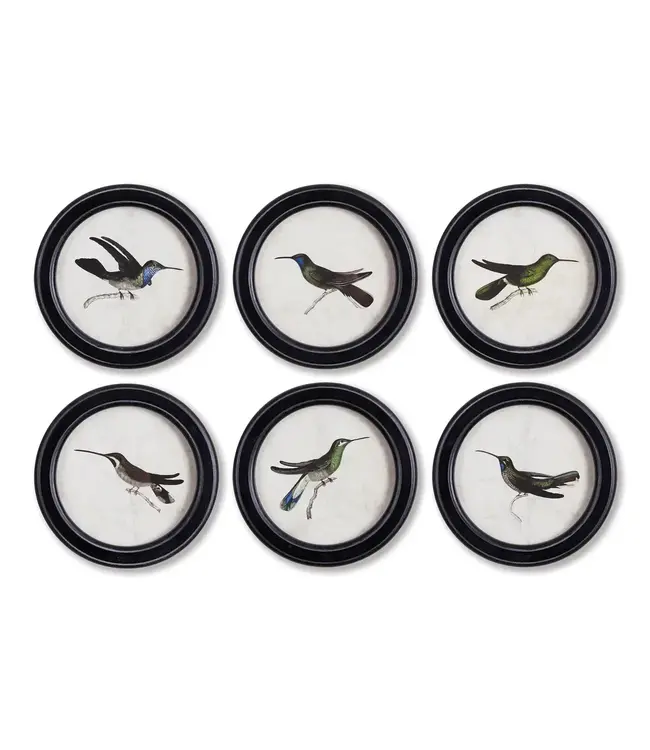Hummingbird Round Petite Prints, Set of 6