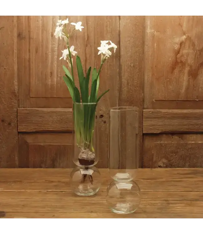 Bulb Vase Clear 11"