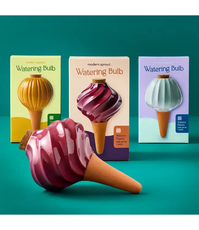 Terracotta Watering Bulb, Plum