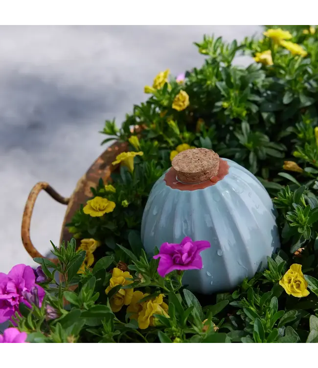 Terracotta Watering Bulb, Sage