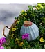 Terracotta Watering Bulb, Sage