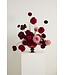 Naomi Compote 7"x 5.75"