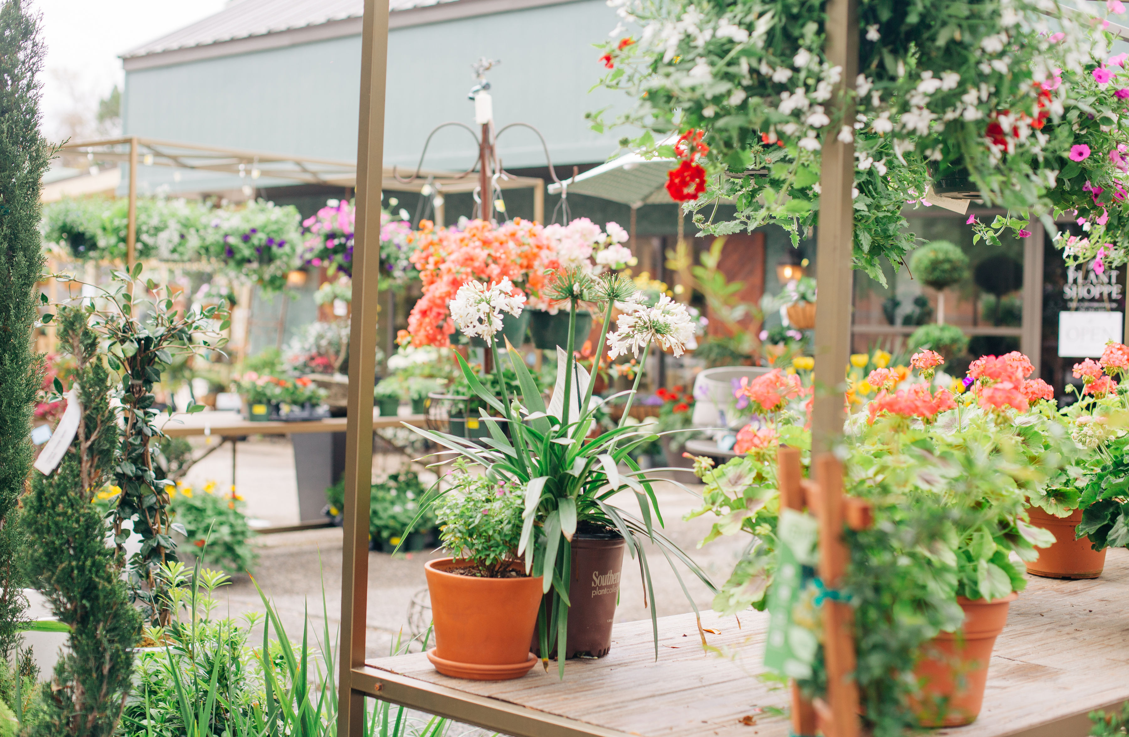 Seasonal space located in downtown Fairhope