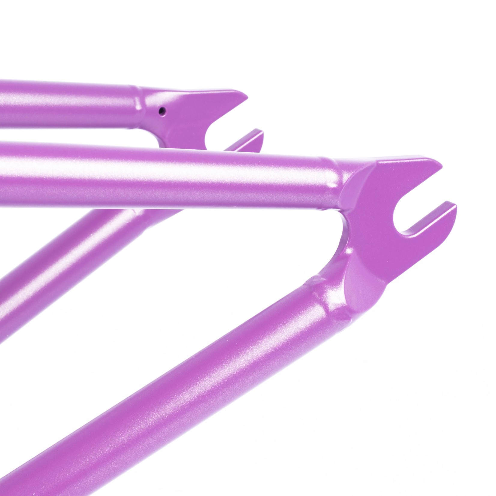 Cult Cult - 2Short - Panza frame - Purps