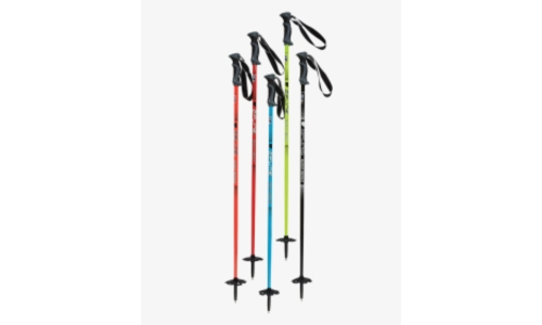 Ski Poles