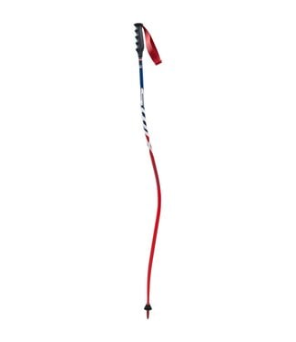 SWIX WC PRO DH CARBON POLE