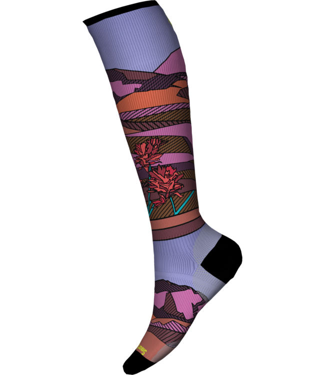 SMARTWOOL W SKI ZERO CUSHION OTC