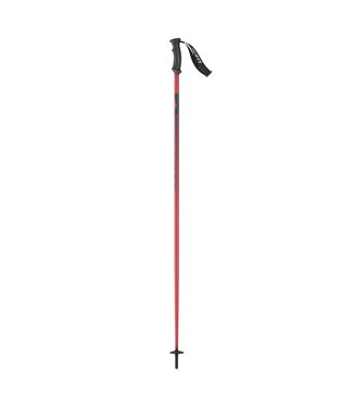 540 P-LITE POLE