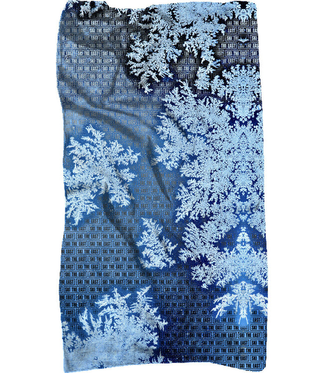 SKI THE EAST RAD HEADWARE