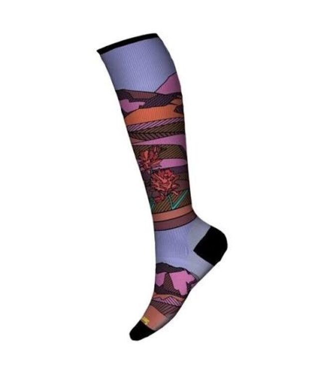 SMARTWOOL W SKI ZERO CUSHION OTC