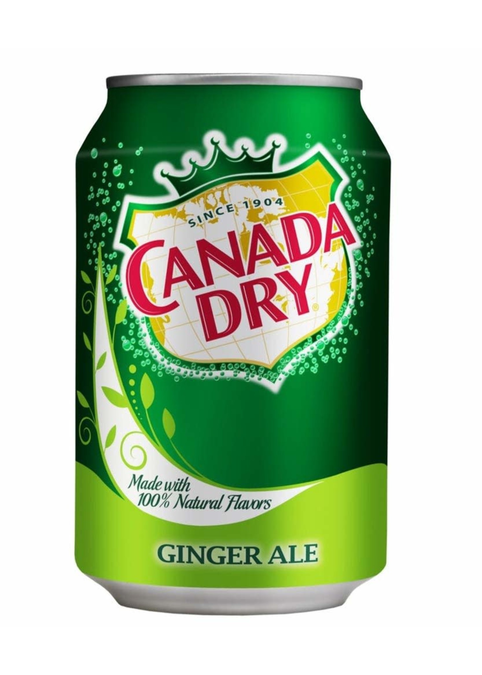 Canada Dry Ginger Ale Single Can 12oz