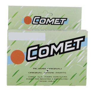 Comet P40 Diaphragm & Valve Kit