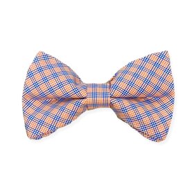 Brown Bowen Boy Ties