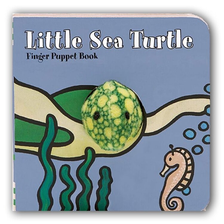 Little Sea Turtle