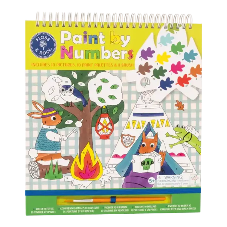 Floss & Rock Paint by Numbers Adventure