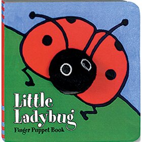 Little Ladybug