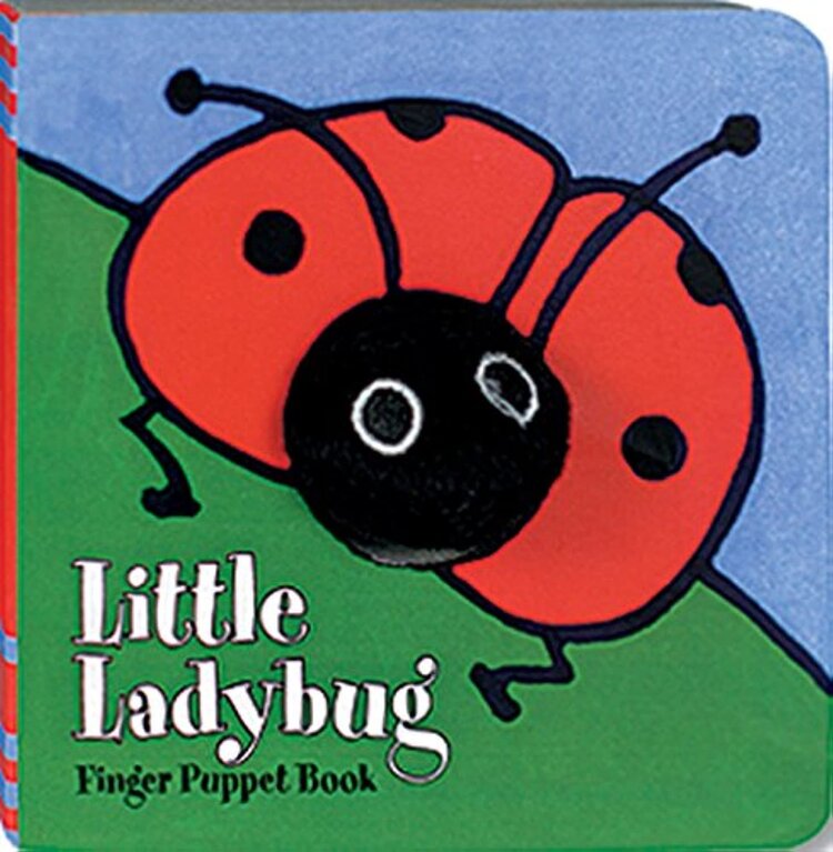Little Ladybug