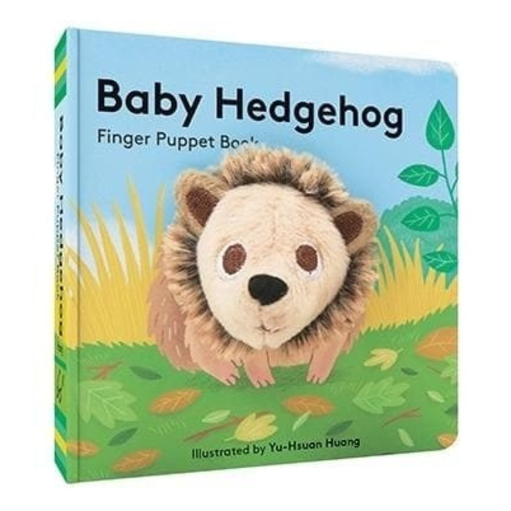 Baby Hedgehog