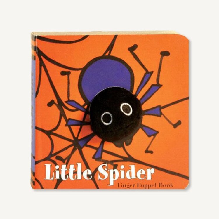 Little Spider