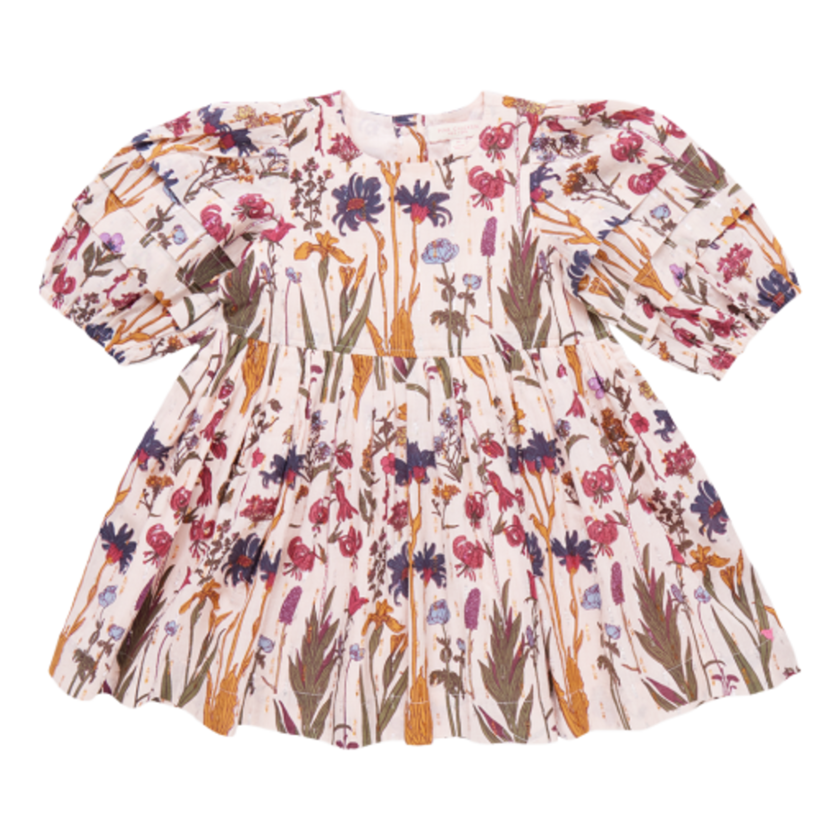 Pink Chicken girls brooke dress - autumn flowers