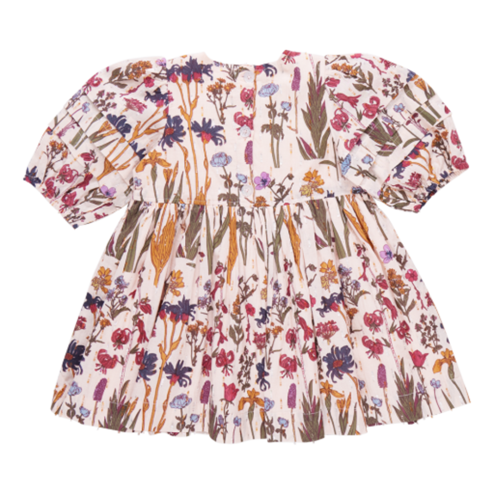 Pink Chicken girls brooke dress - autumn flowers