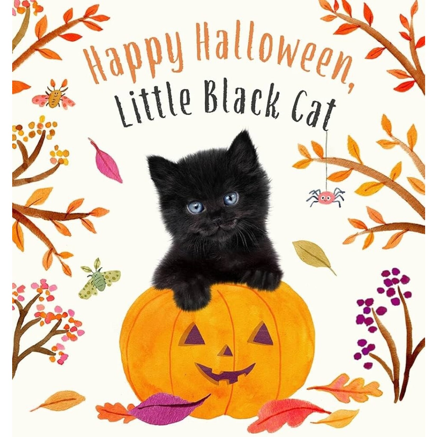 Happy Halloween Little Black Cat