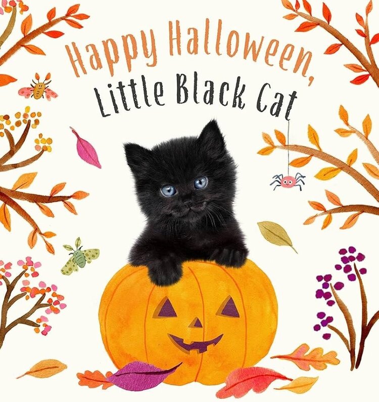 Happy Halloween Little Black Cat