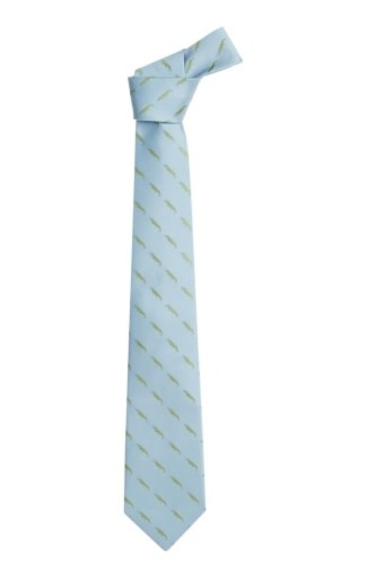 Little English Neck Tie