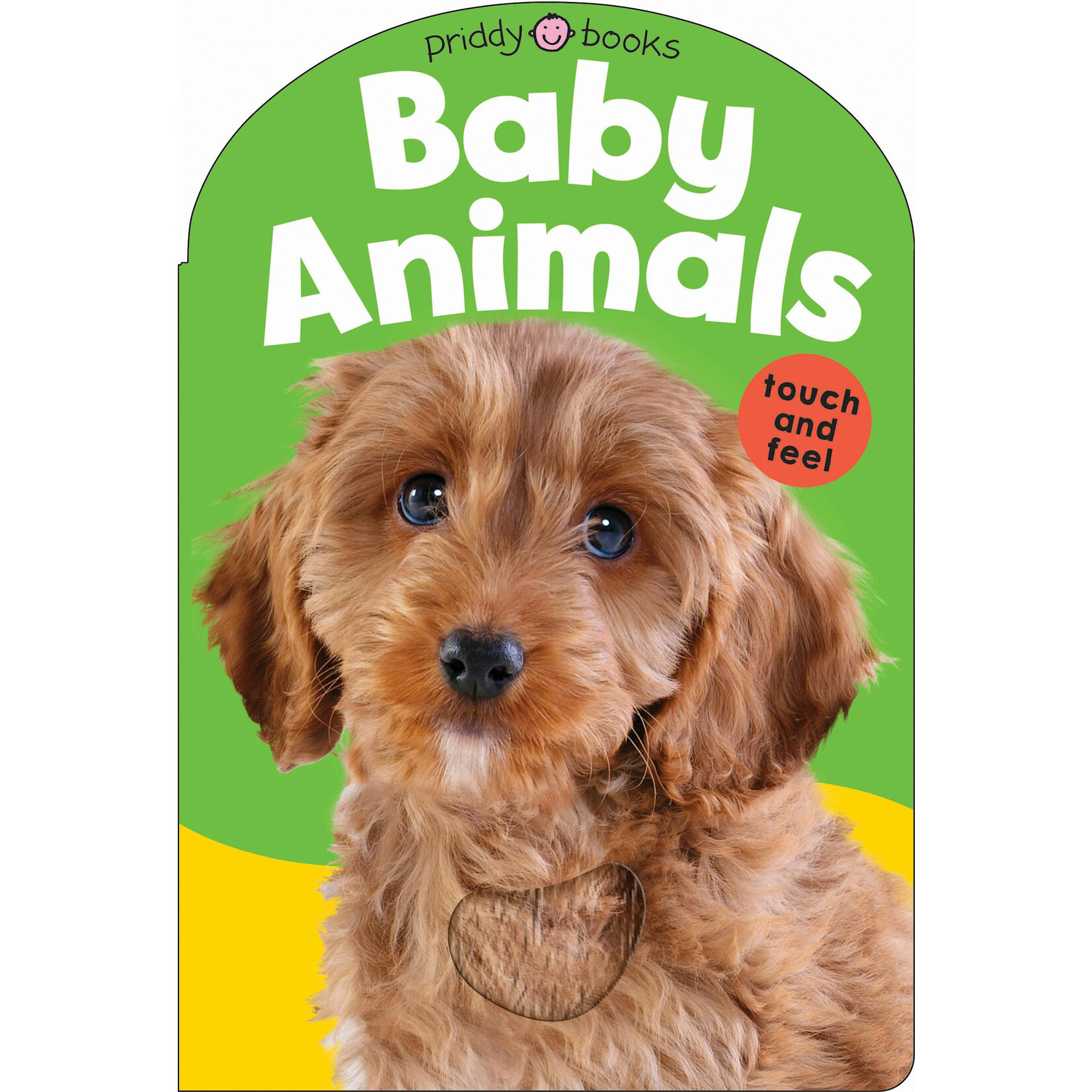 Baby Animals