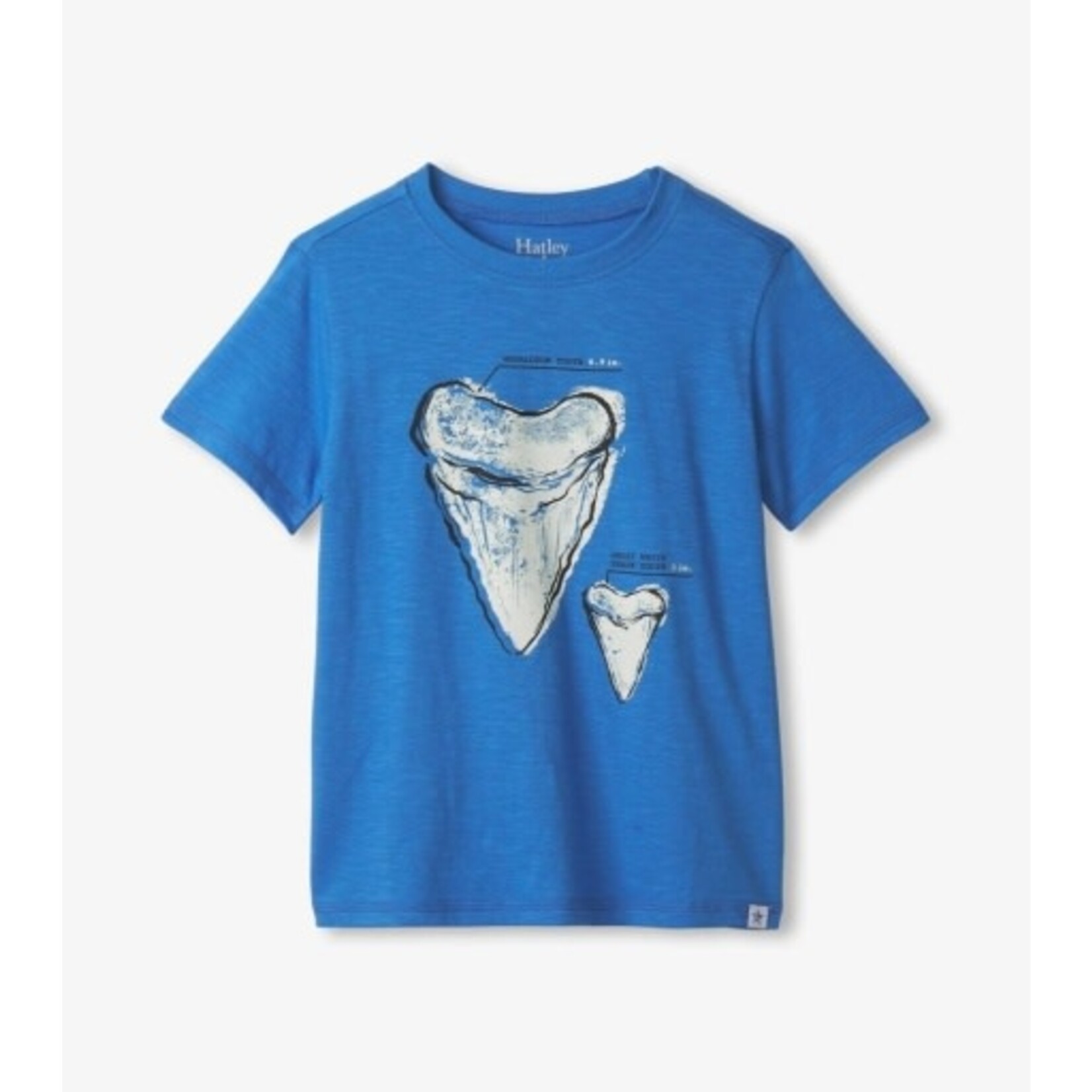 Hatley megalodon tooth glow in the dark tee