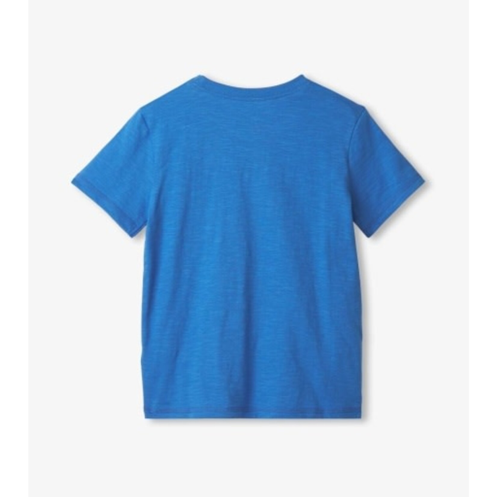 Hatley megalodon tooth glow in the dark tee