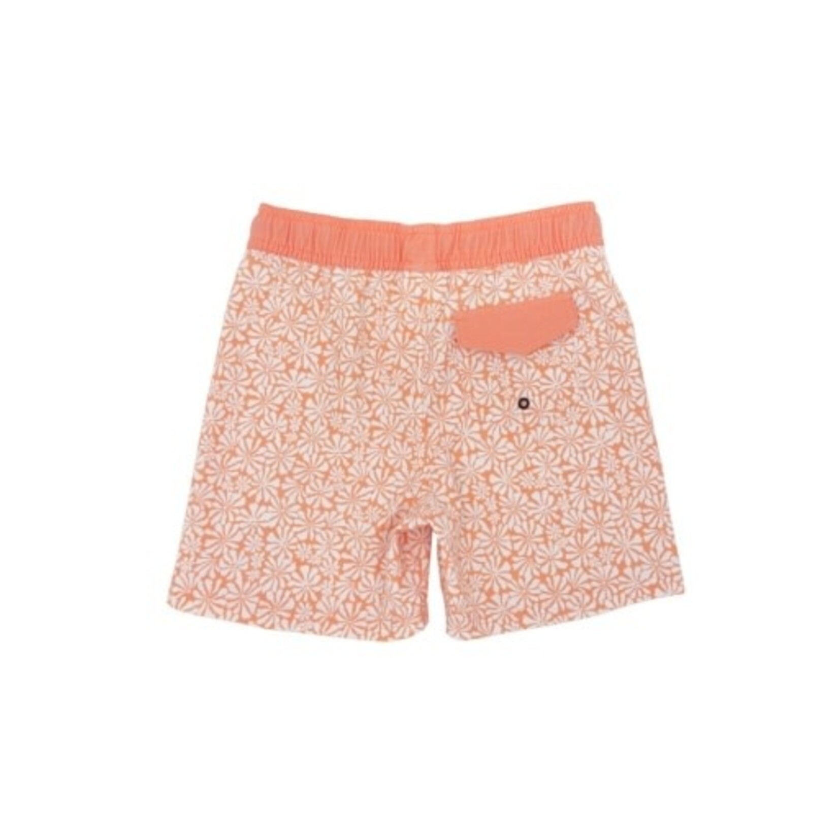 FEATHER 4 ARROW SHORE THING BOARDSHORT