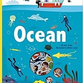 Ocean Magnetology