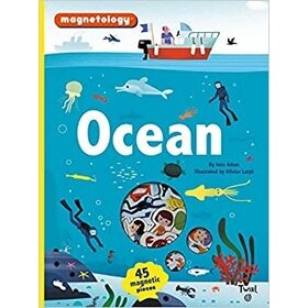 Ocean Magnetology