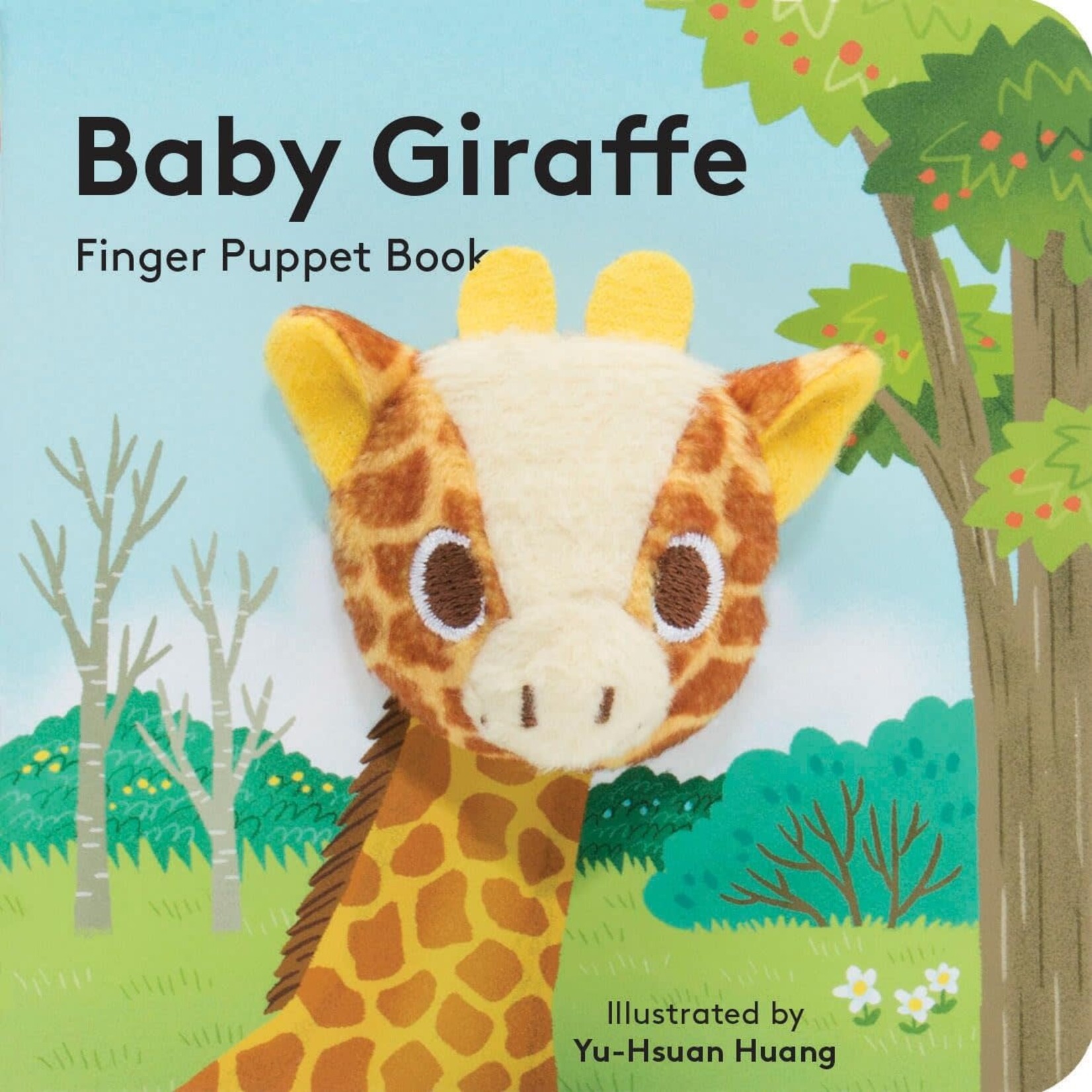 Baby Giraffe