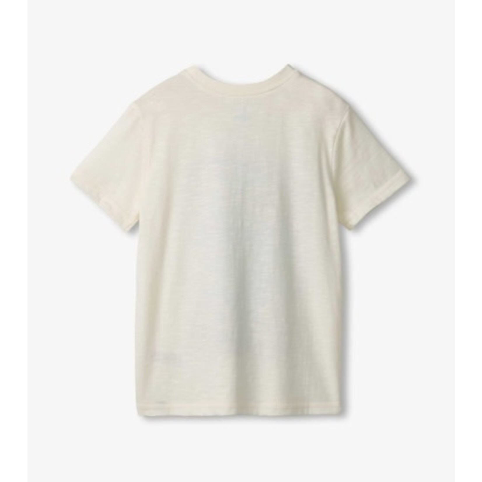 beware of shark graphic tee
