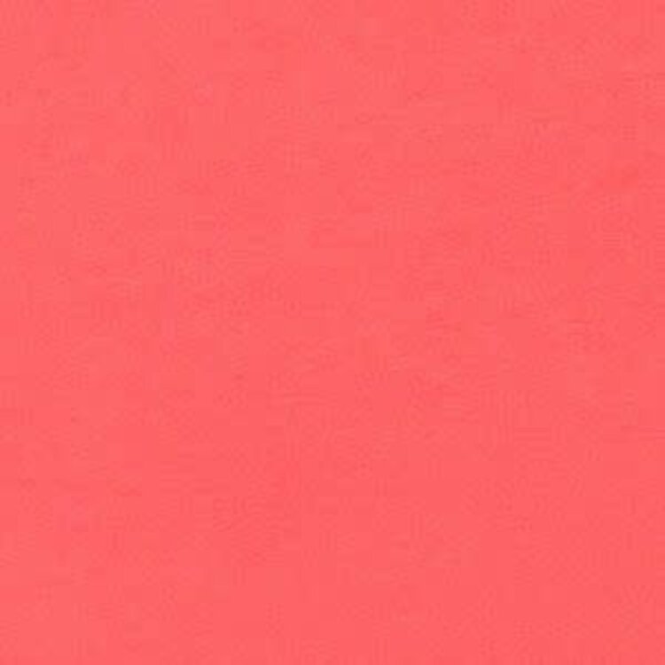 Tenly Terry Cloth Shorts