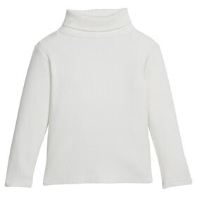 Bisby Ribbed Turtleneck