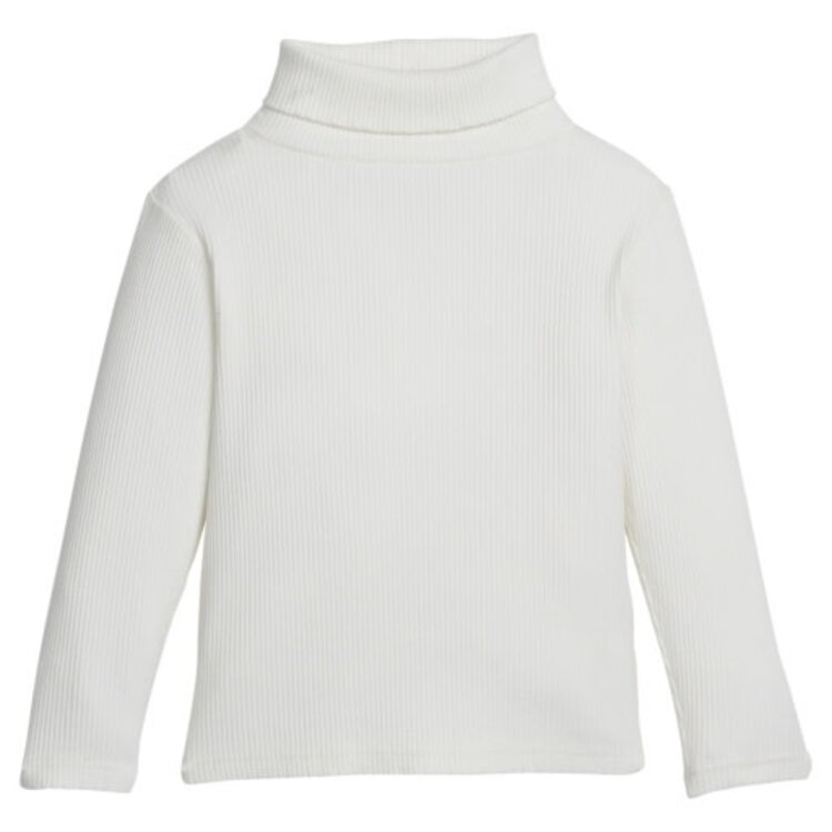 Bisby Ribbed Turtleneck