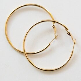 Hoo Hoops Holly Hoops